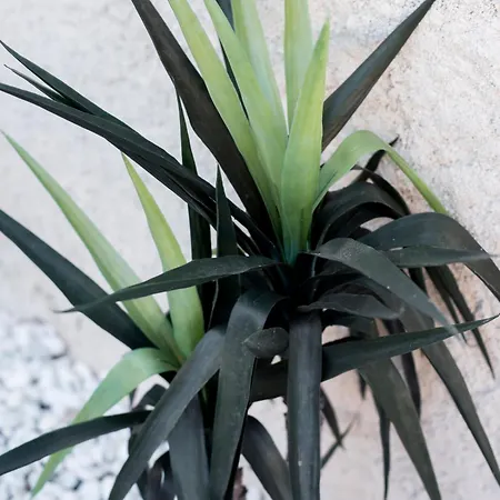 El Mudejar - Complejo Rural Exclusivo Grupos Casa de Férias *