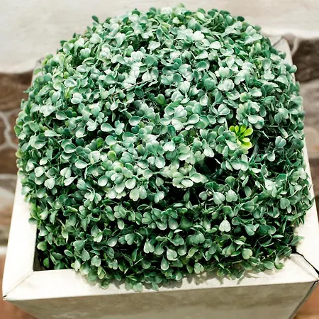 Casa vacanze El Mudejar - Complejo Rural Exclusivo Grupos Velayos