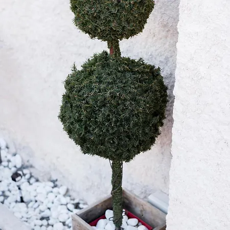 El Mudejar - Complejo Rural Exclusivo Grupos Casa de Férias Velayos