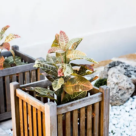 El Mudejar - Complejo Rural Exclusivo Grupos *