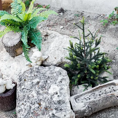 Casa vacanze El Mudejar - Complejo Rural Exclusivo Grupos