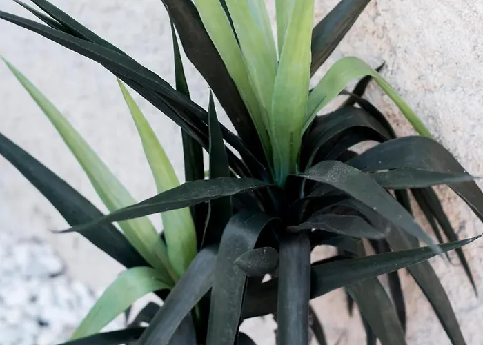 El Mudejar - Complejo Rural Exclusivo Grupos Nyaraló *