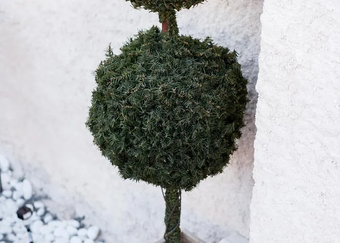 El Mudejar - Complejo Rural Exclusivo Grupos Nyaraló Velayos