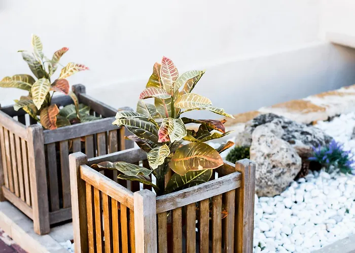 El Mudejar - Complejo Rural Exclusivo Grupos *